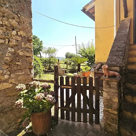 Relax A 2 Piani E Giardino Privato Con Vista Sulle Colline Umbre * Piloni